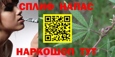крисы Ипатово