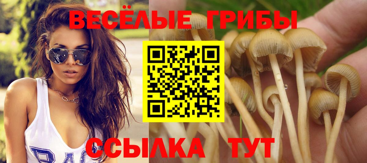 где найти   Вход с VPN  Дагестанские Огни  Галлюциногенные грибы Psilocybe  Псилоцибиновые грибы Psilocybe 