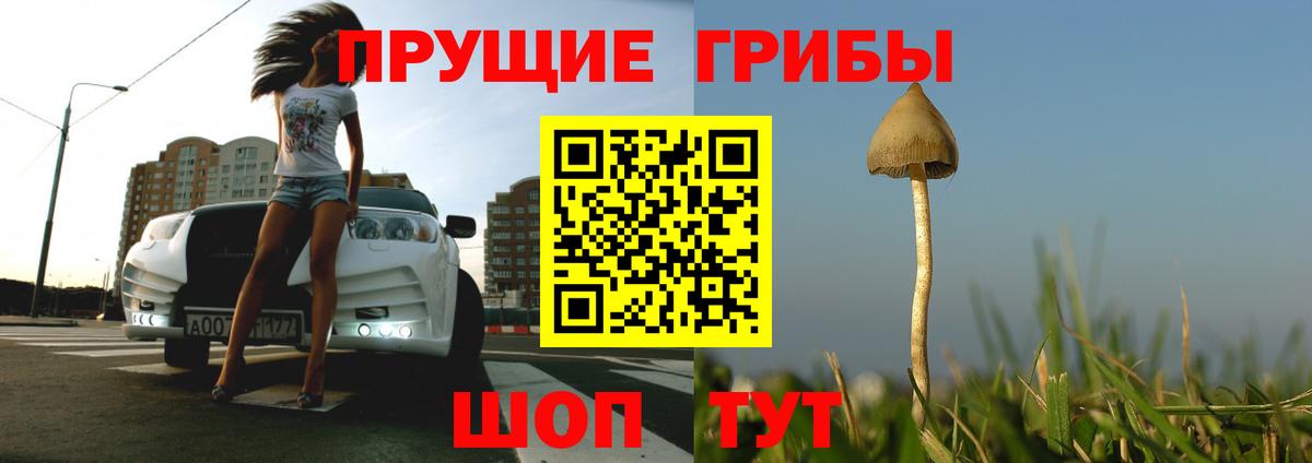 Псилоцибиновые грибы GOLDEN TEACHER Дагестанские Огни